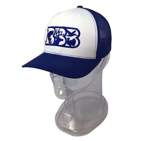 BBB Bass Bucks Birds Richardson Mens Hat Baseball Mesh Snapback Blue Embroidered - Picture 1 of 8